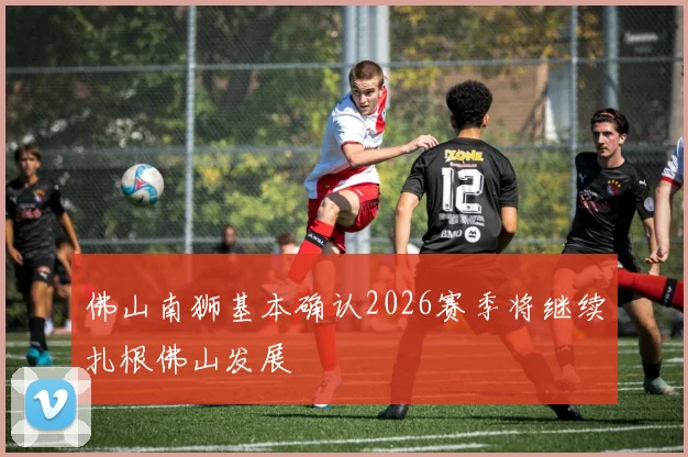 佛山南狮基本确认2026赛季将继续扎根佛山发展