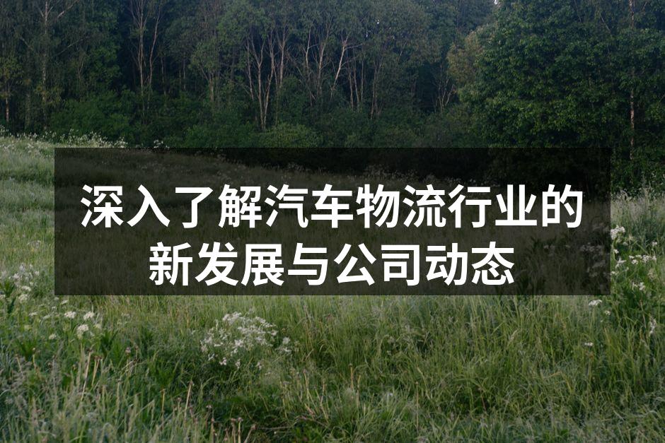 公司新推出的汽车物流管理系统